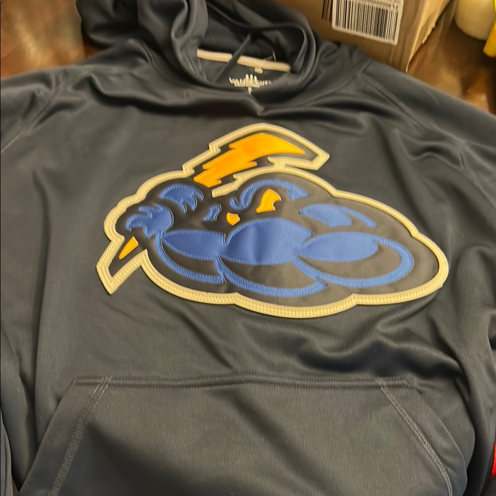 Trenton Thunder Hoodie